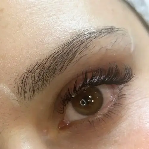 Primer plano de un ojo marrón con pestañas largas y cejas bien cuidadas. La piel alrededor del ojo es clara y se aprecia un reflejo de luz.