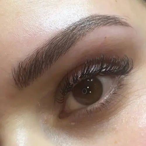 Primer plano del ojo de una persona con cejas y pestañas bien definidas, que muestra detalles de la textura de la piel y el maquillaje de los ojos.